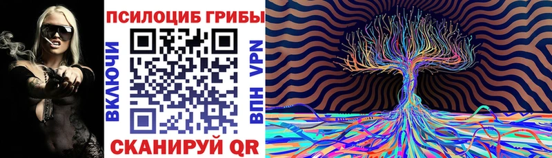 blacksprut рабочий сайт  Перевоз  Галлюциногенные грибы Psilocybe 